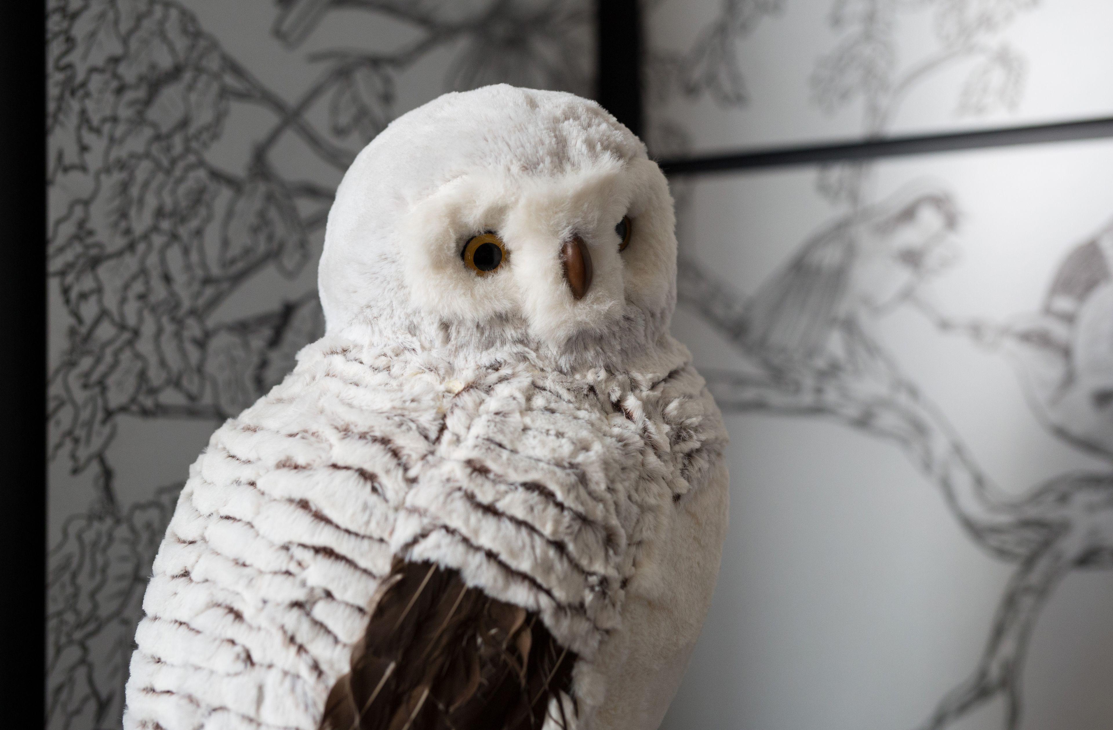 Hotel Chouette Paris